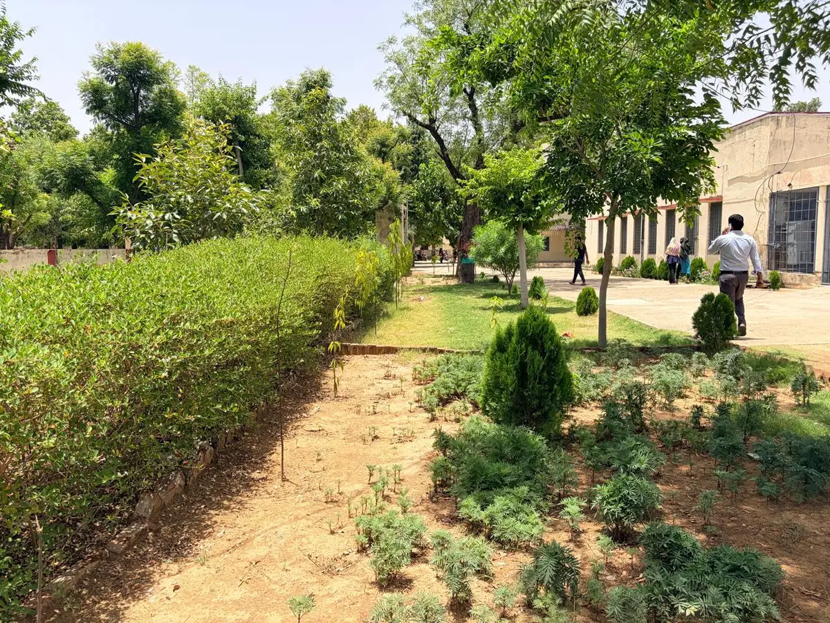 S.N.K.P. Govt. P.G. College, Neem Ka Thana (Sikar): campus photo 1