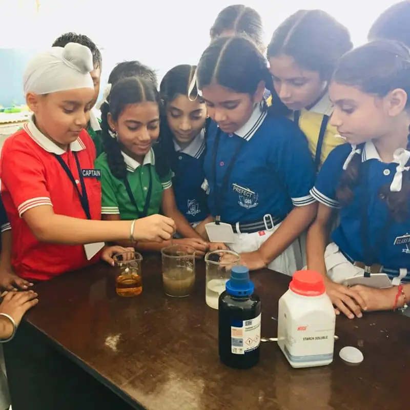 S.P.S. Janta College of Education: campus photo 3