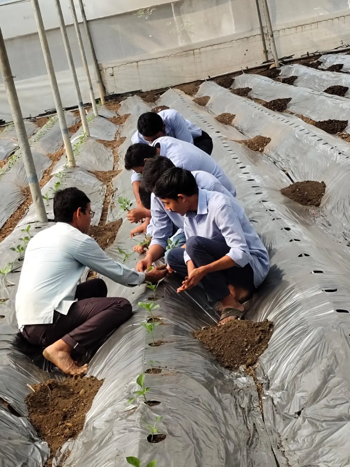 S. S. College of Bio Technology Amravati: campus photo 7