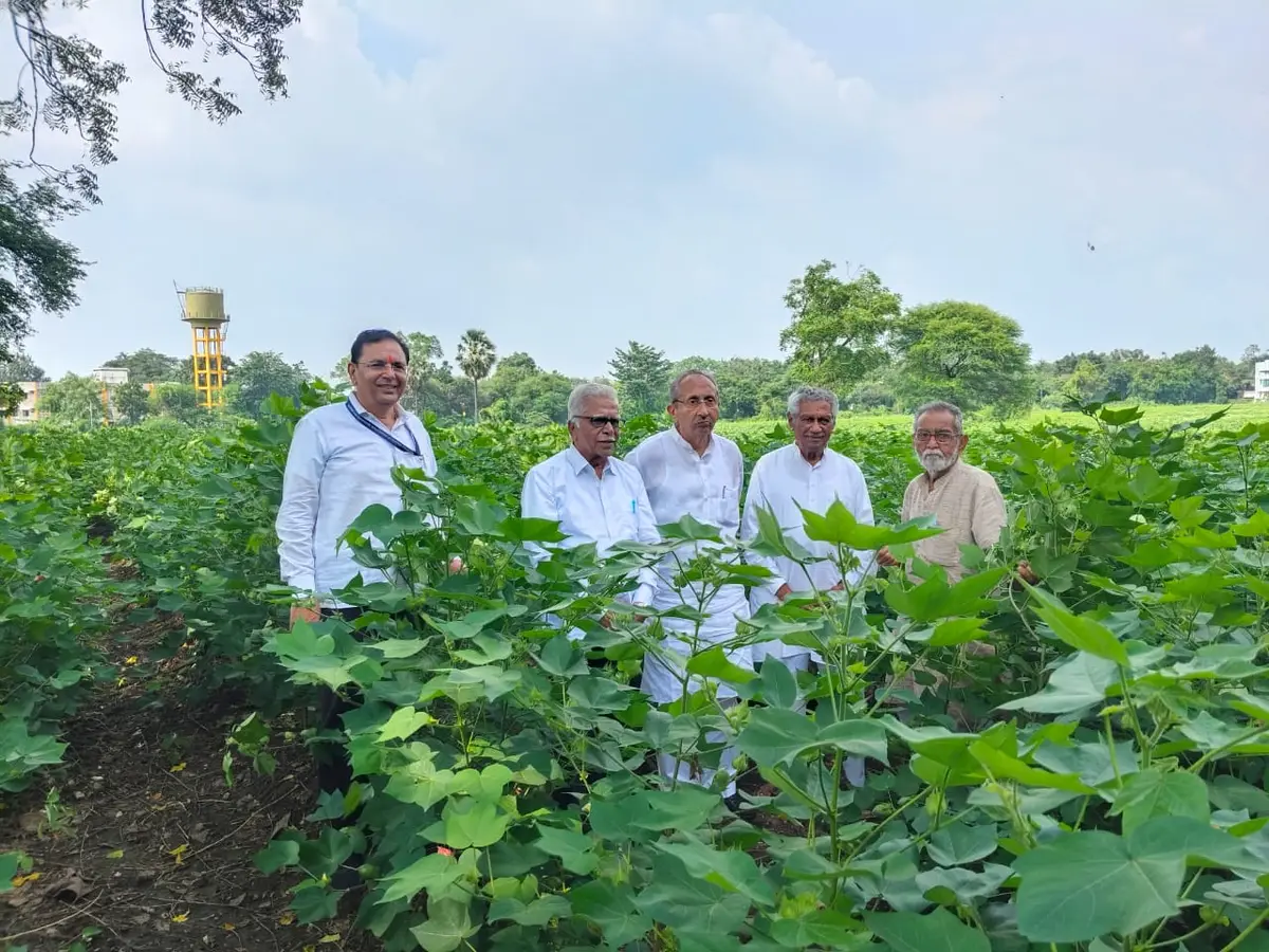 S. S. College of Bio Technology Amravati: campus photo 6