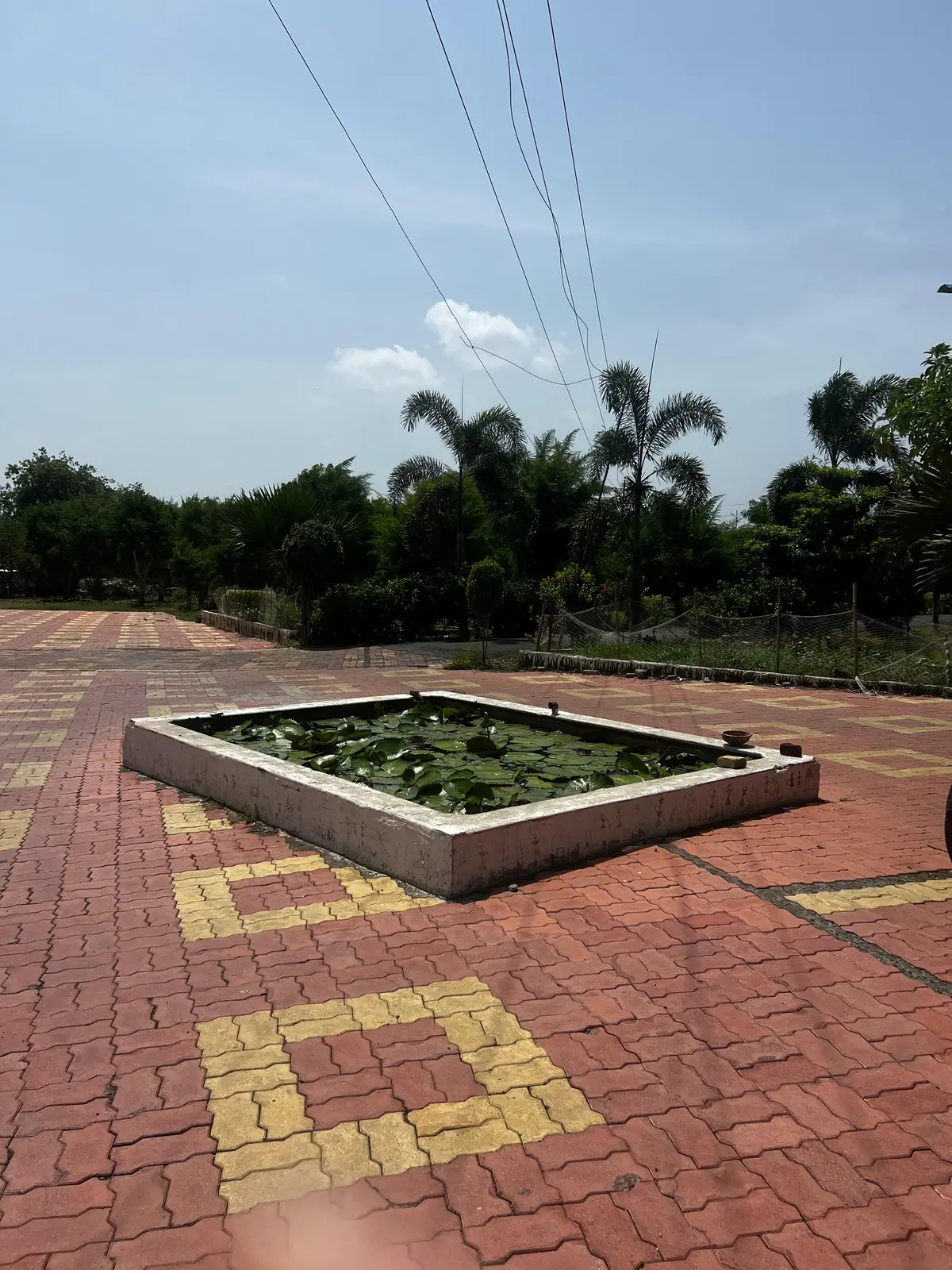 S. S. Horticulture College Amravati: campus photo 5