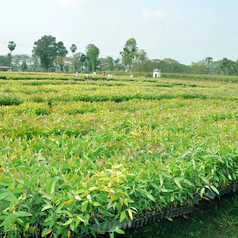 Sai Shakti Institute of Medical Science: campus photo 2