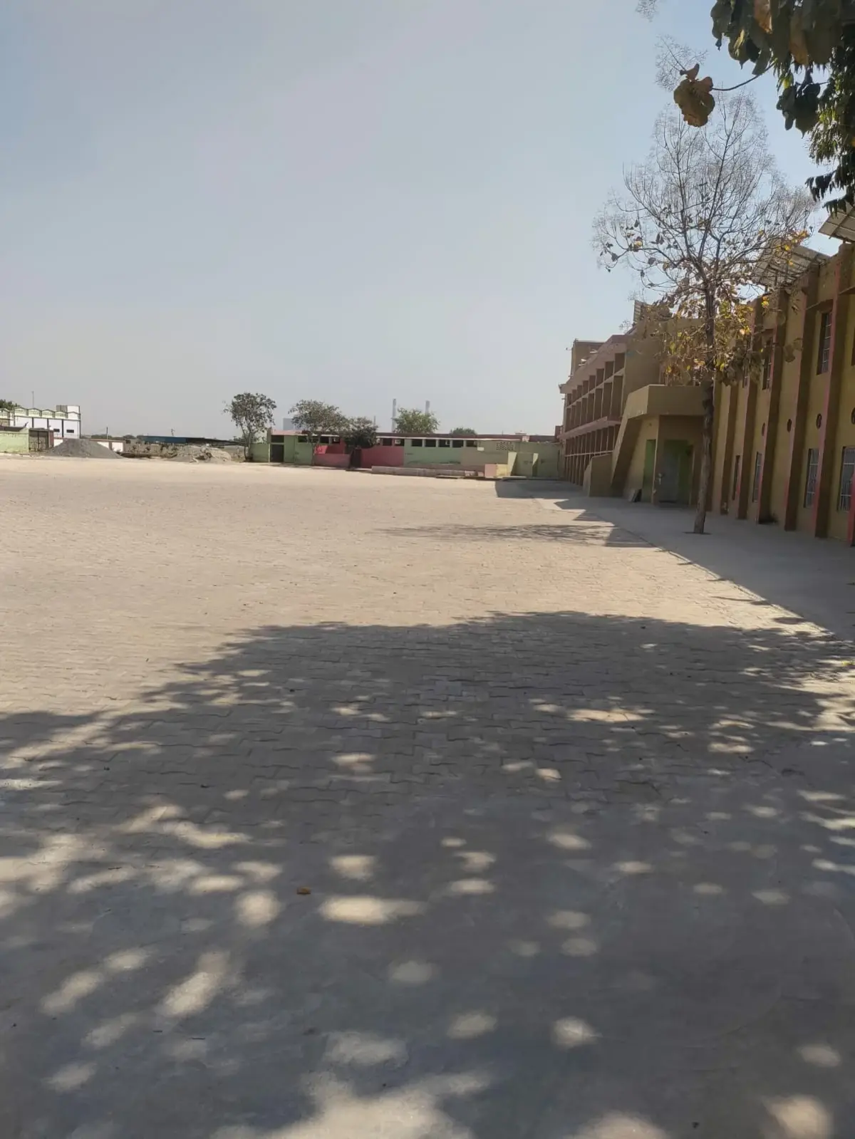 Sarvodya College of Education: campus photo 7