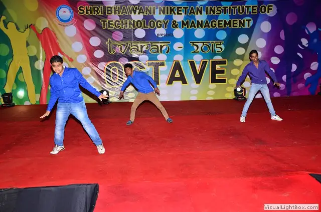Shri Bhawani Niketan Institute of Technology and Management (SBNITM): campus photo 3