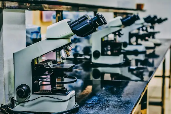 Sbsf College of Pharmacy: campus photo 7