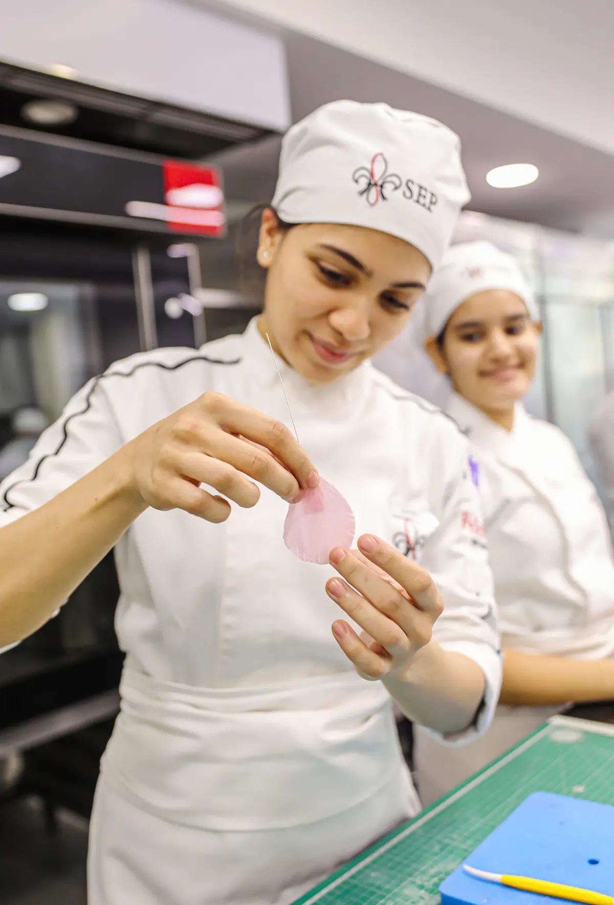 School for European Pastry: campus photo 6