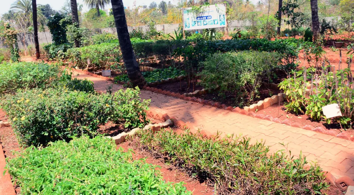 SDM Institute of Ayurveda and Hospital: campus photo 3