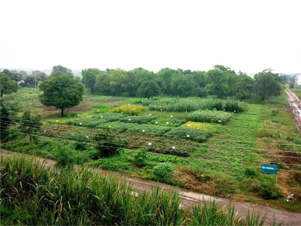 SDMVM College of Agriculture: campus photo 2