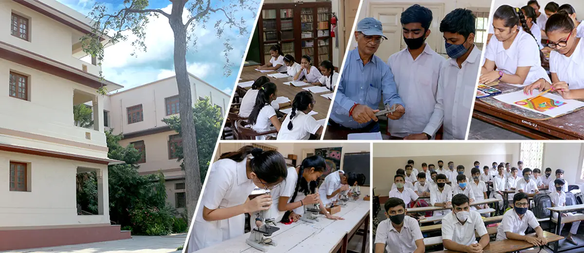 Sheth C. N. College of Fine Arts: campus photo 7