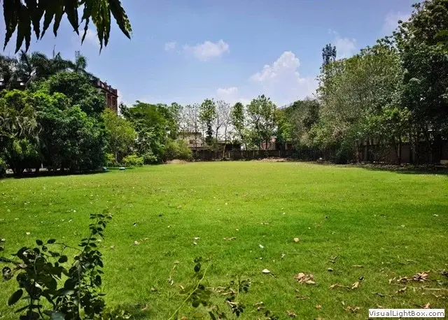 Shivwati Shivnandan Shukla Mahavidyalaya: campus photo 8