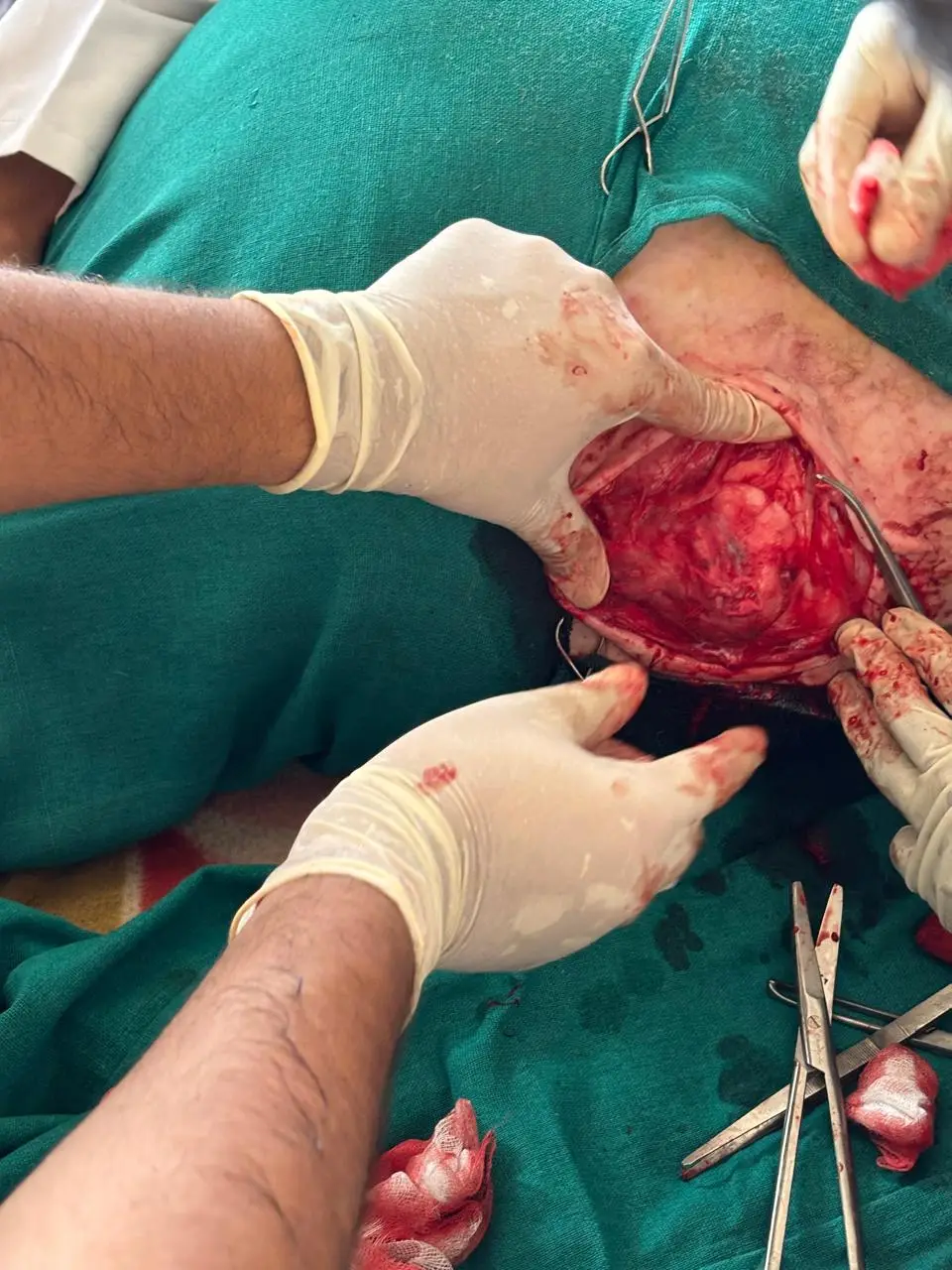 Shourabh College of Veterinary Science: campus photo 4