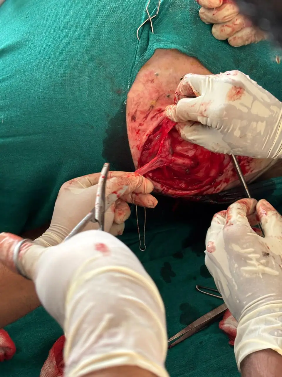 Shourabh College of Veterinary Science: campus photo 6
