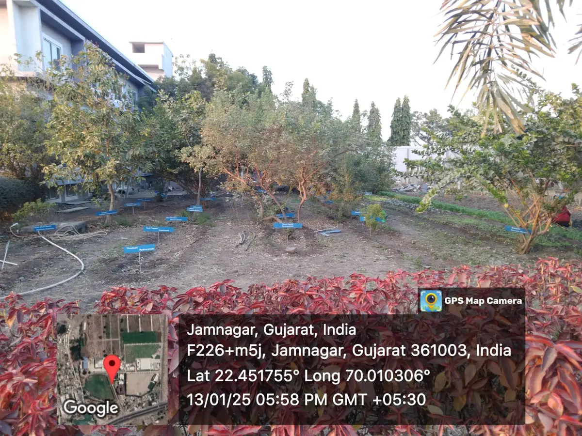 Shree Swaminarayan Gurukul Pharmacy College Jamnagar: campus photo 8
