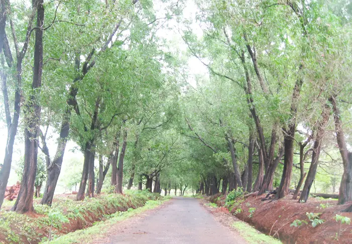 Shri Arjun B.Com College Supasi: campus photo 4