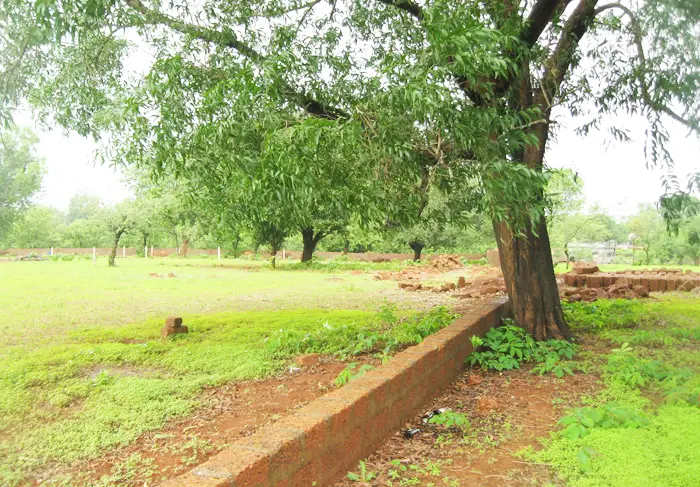Shri Arjun B.Com College Supasi: campus photo 3