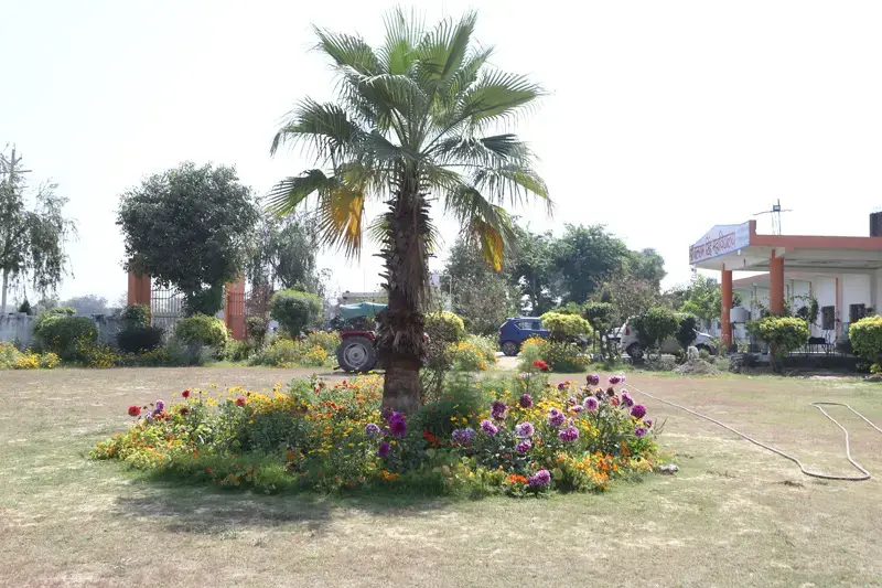 Shri Balram Singh Mahavidyalaya: campus photo 8