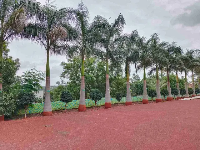 Shri Dattakrupa Shaikshnik & Krishi Gram Vikas Pratishthans College of Educaton: campus photo 3
