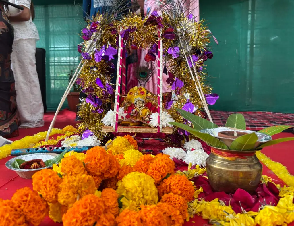 Shri Davara University: campus photo 3