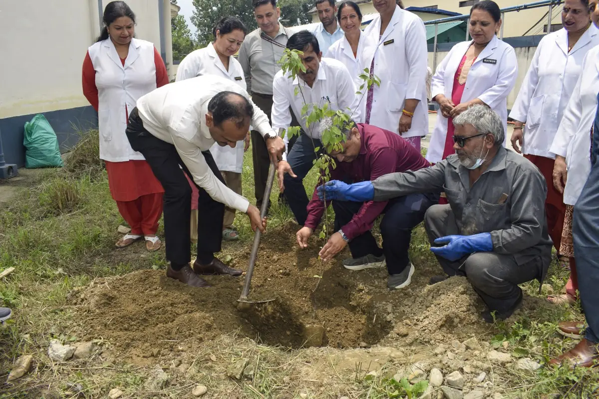 Shri Lal Bahadur Shastri Govt. Medical College Mandi at Nerchowk: campus photo 6