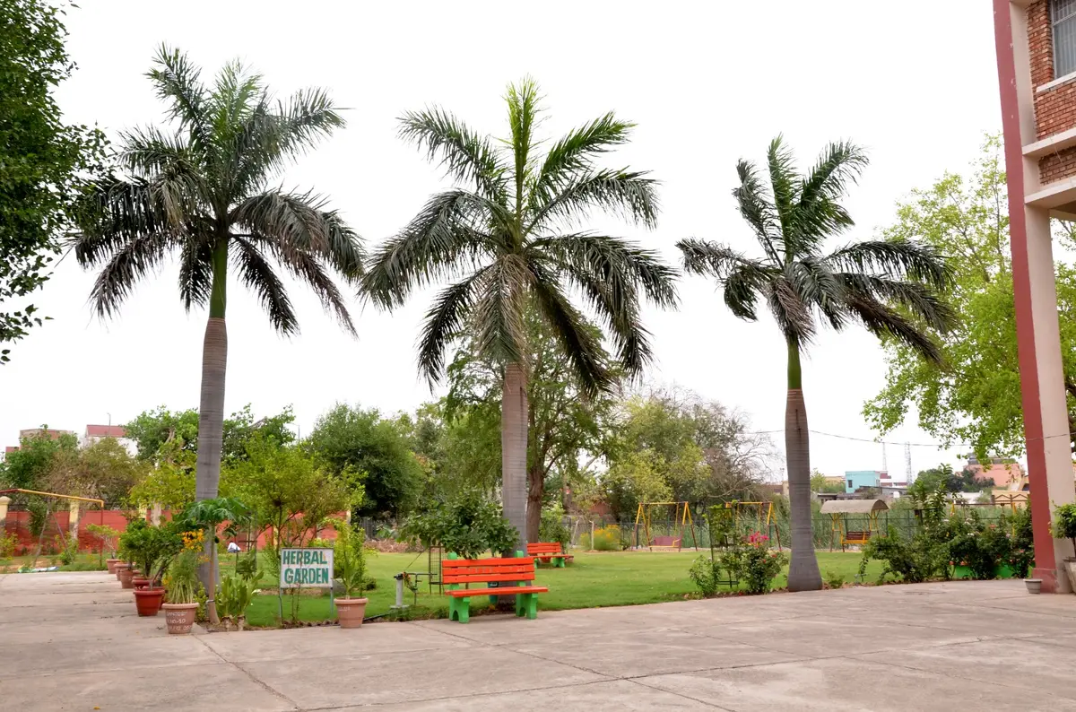 Shri Sanatan Dharam Institute of Pharmacy & Medical Technology: campus photo 8