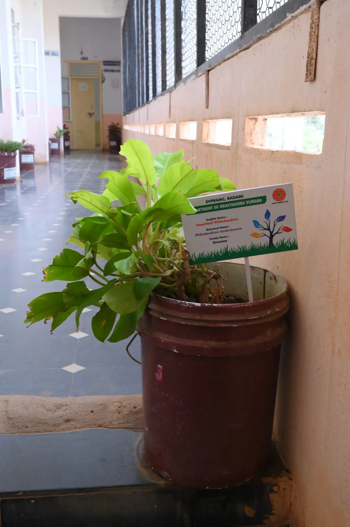 Shri Veer Pulikeshi Rural Ayurvedic Medical College Badami: campus photo 2