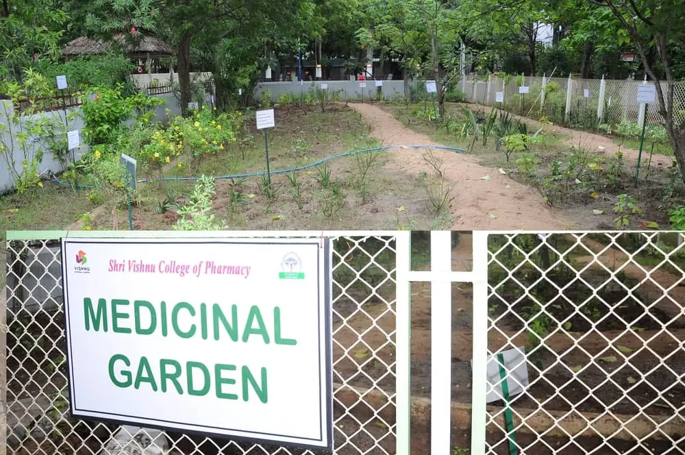 Shri Vishnu College Of Pharmacy: campus photo 8