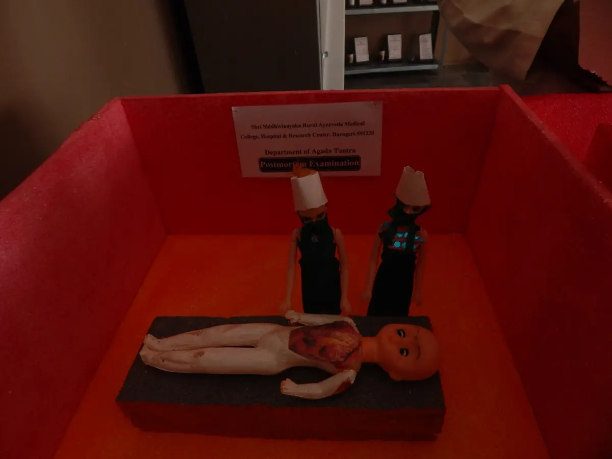 Siddhivinayak Ayurvedic Medical College: campus photo 4