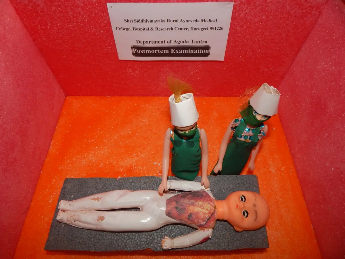 Siddhivinayak Ayurvedic Medical College: campus photo 5