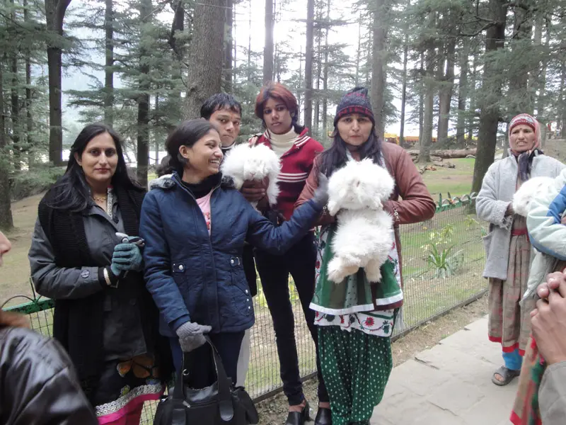 SJS International College of Education: campus photo 8