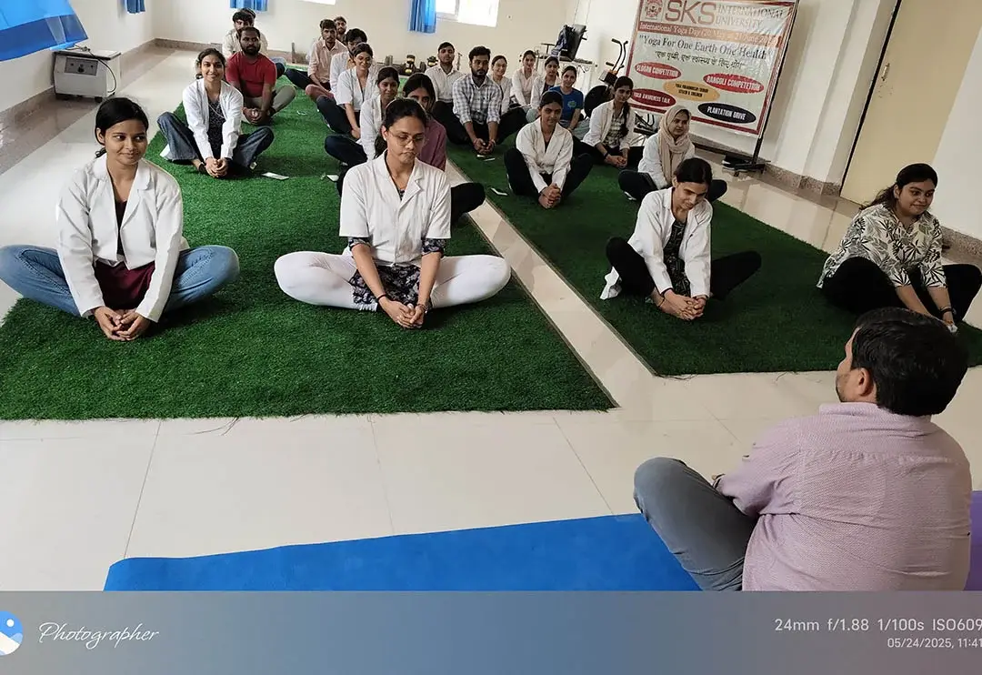 SKS International University: campus photo 7