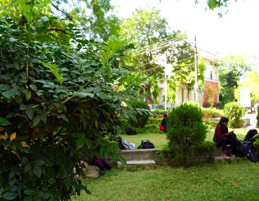 Smt. Manoramabai Mundle College of Architecture: campus photo 5