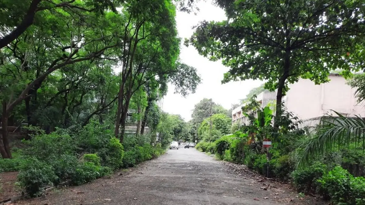 SNDT campus photo 5