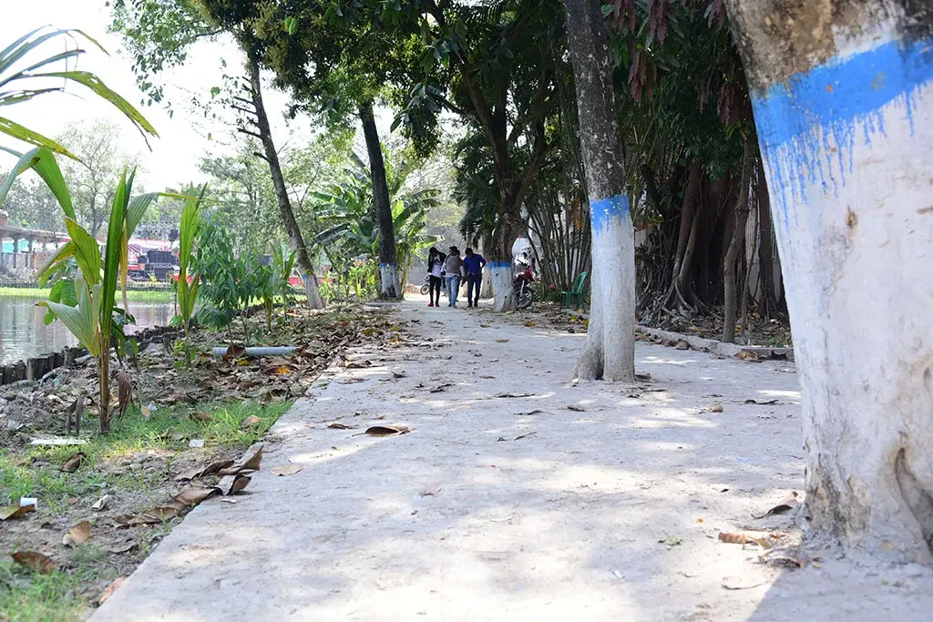 Sonarpur Mahavidyalaya: campus photo 3