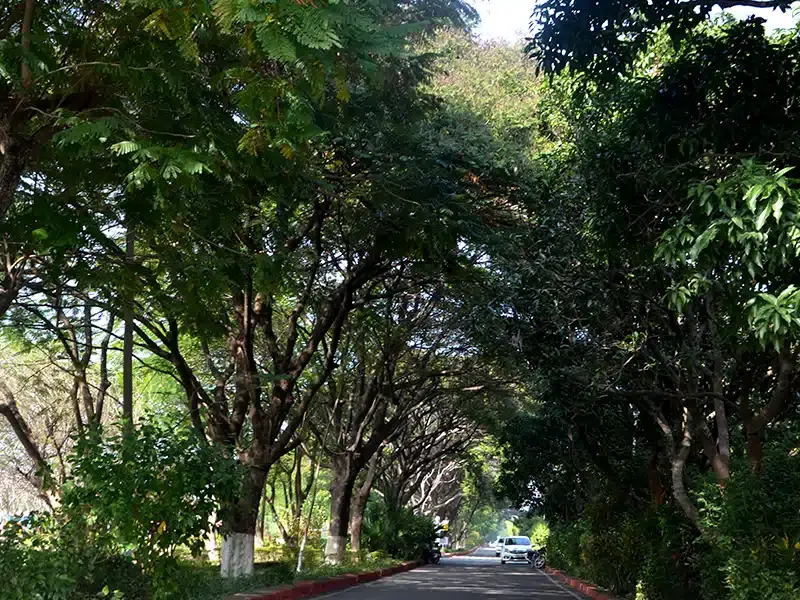 SRHU campus photo 4