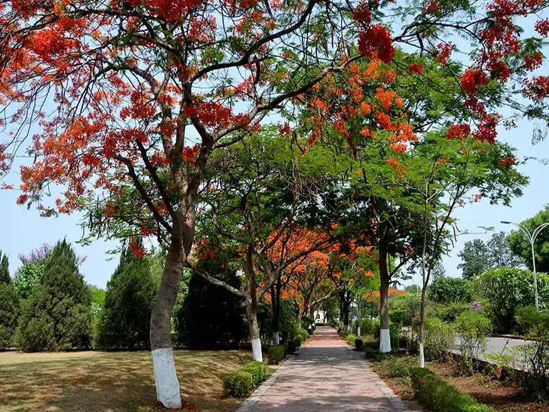 SRHU campus photo 3