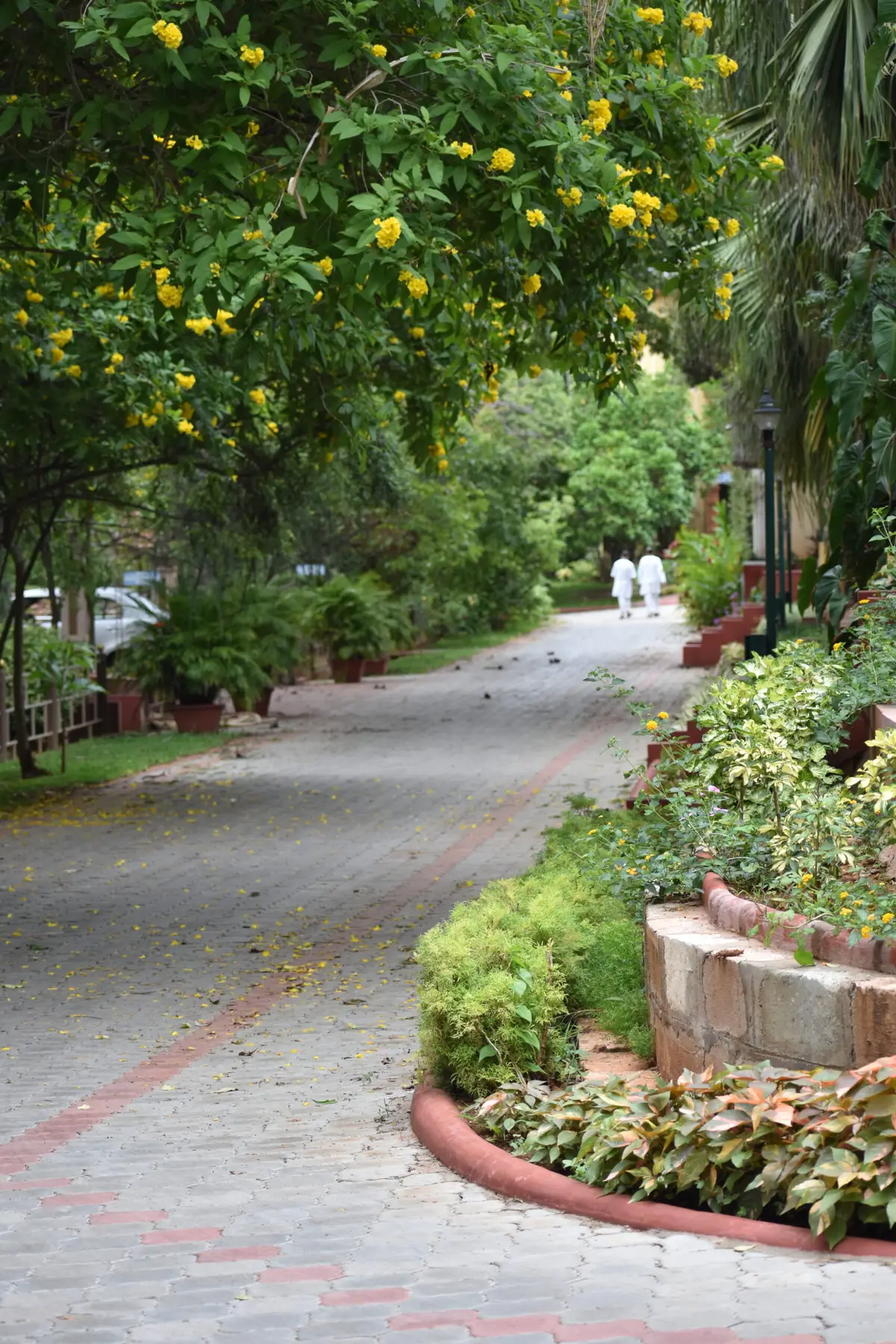 Sri Ramakrishna Vidyashala: campus photo 8