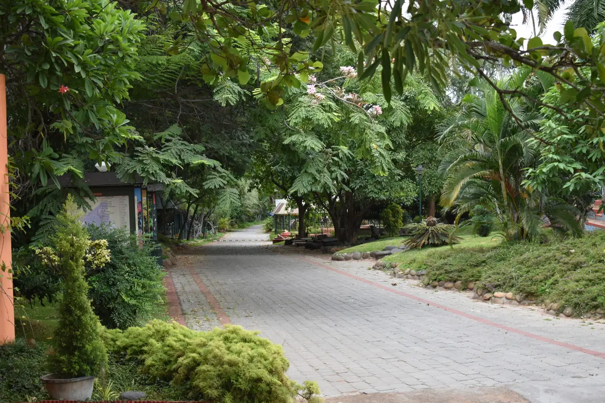 Sri Ramakrishna Vidyashala: campus photo 5