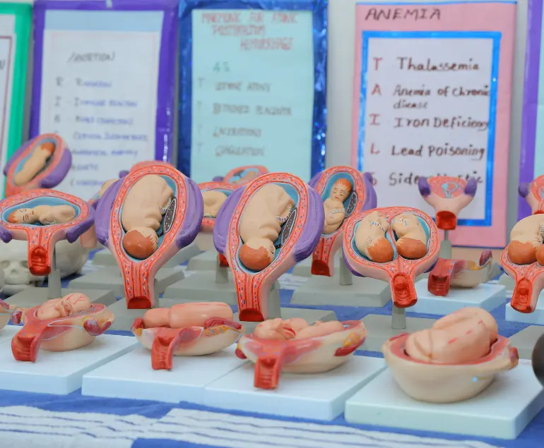 Sri shanmugha college of nursing for women: campus photo 4