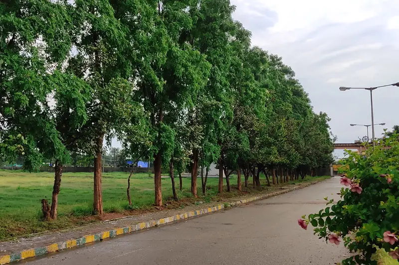 Sri Siddhartha Dental college: campus photo 5