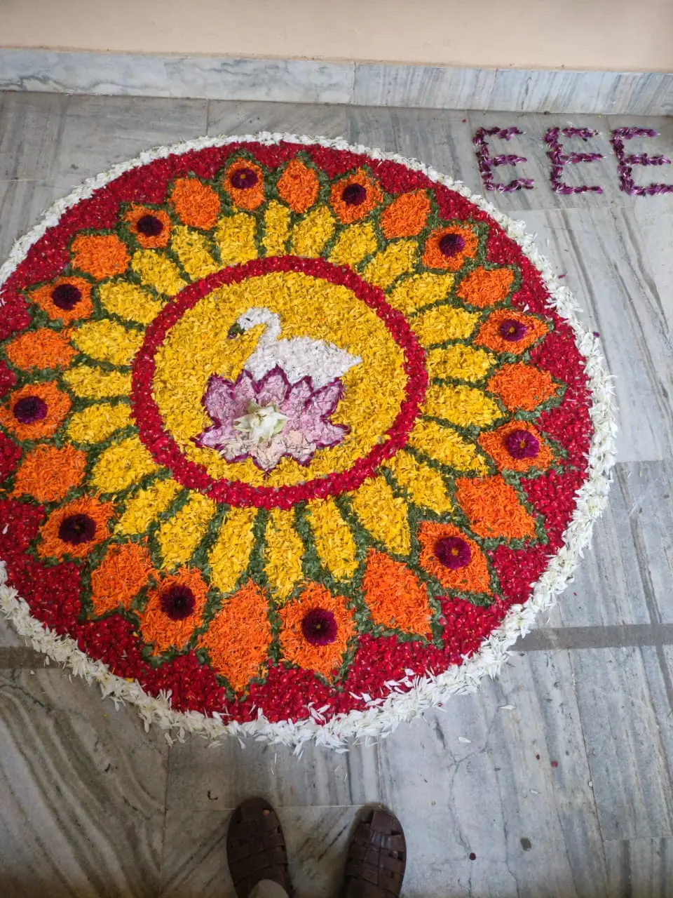 Sri Venkateswara College of Engineering and Technology: campus photo 6