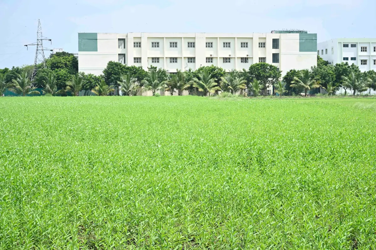 Srinivasan Nursing College: campus photo 8