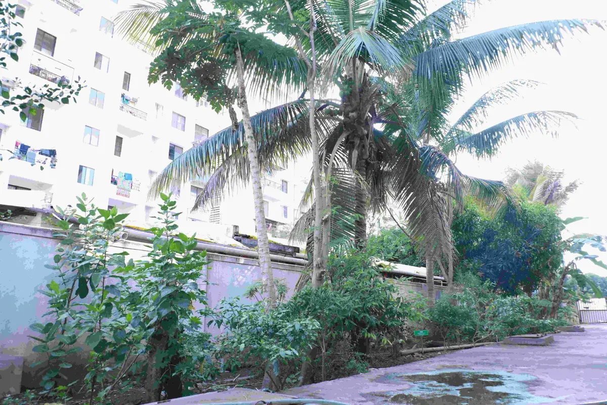 SSP Shikshan Sansthas Siddhi College of Pharmacy: campus photo 4