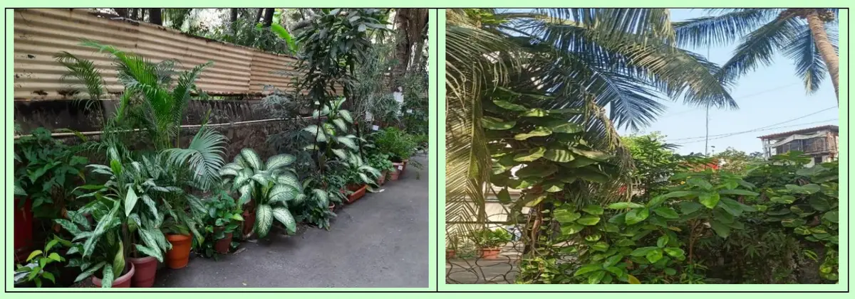 SACOAS campus photo 3