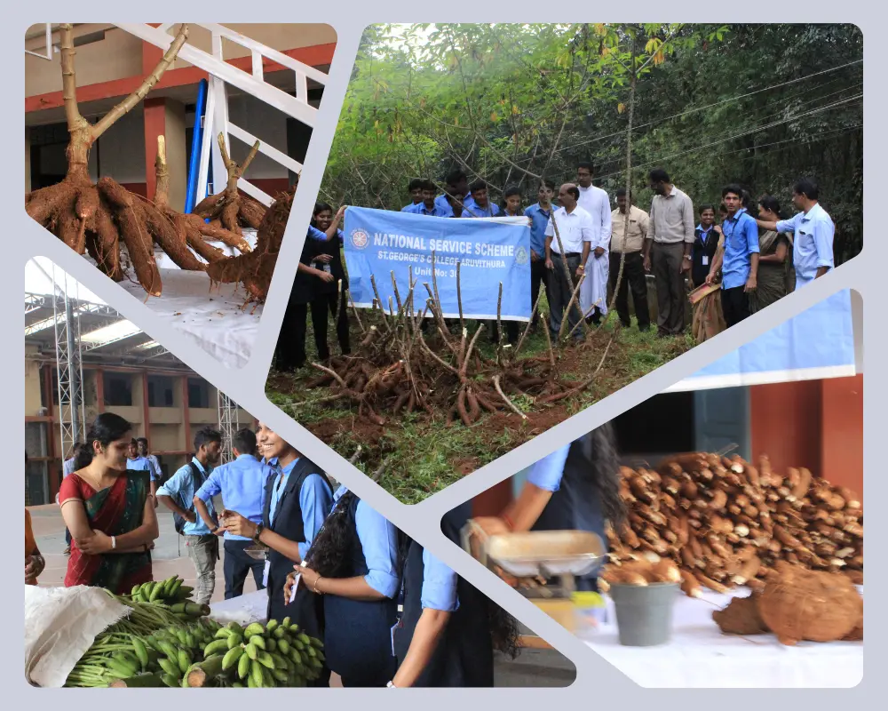 St. George's College, Aruvithura: campus photo 3