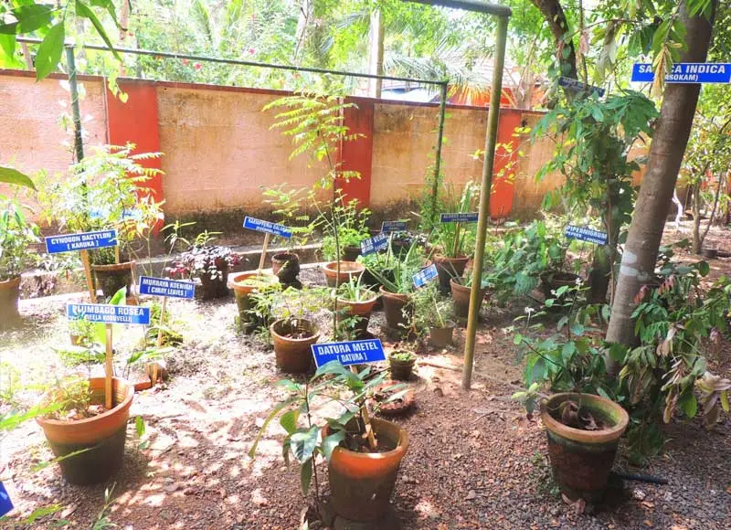 St JOSEPH's COLLEGE OF PHARMACY: campus photo 8