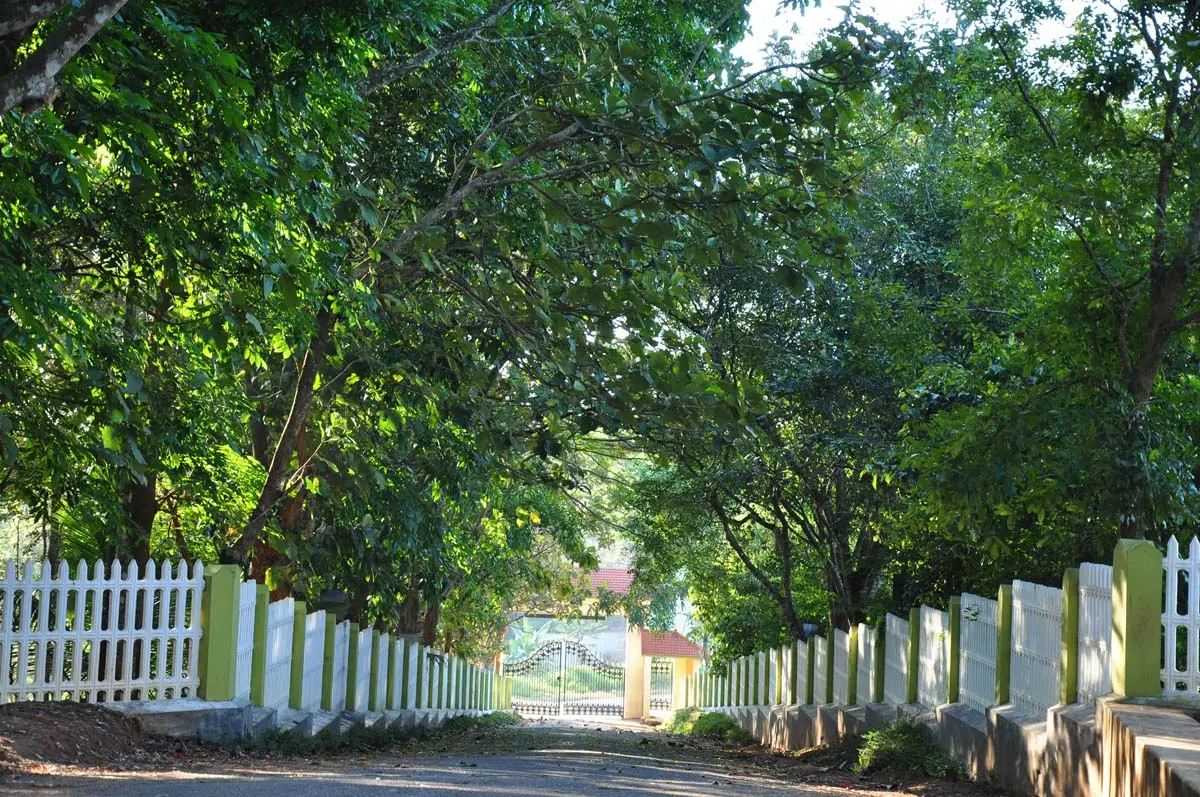 St. Mary's College, Sulthans Bathery: campus photo 3