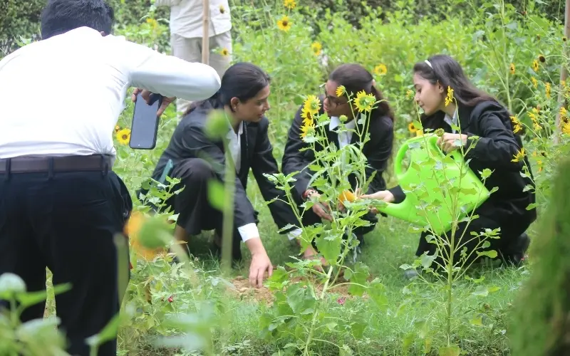 St. Mother Tersa Vidhi Mahavidyalaya: campus photo 8
