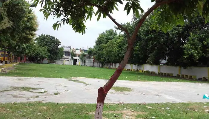 Subhash Degree College: campus photo 8