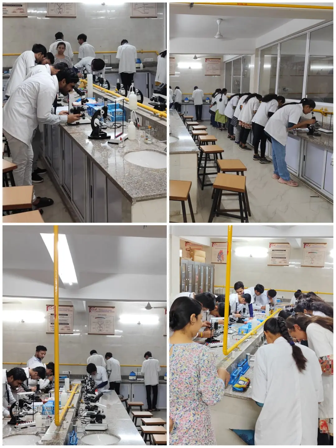 Swaminarayan Gurukul Homoeopathic Medical College: campus photo 3