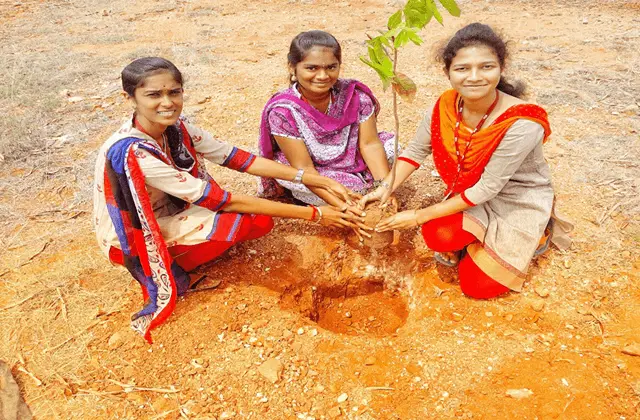 Tamilnadu College of Engineering: campus photo 7
